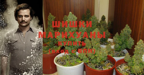 spice Михайловка