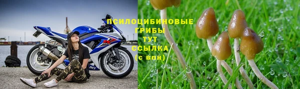spice Михайловка
